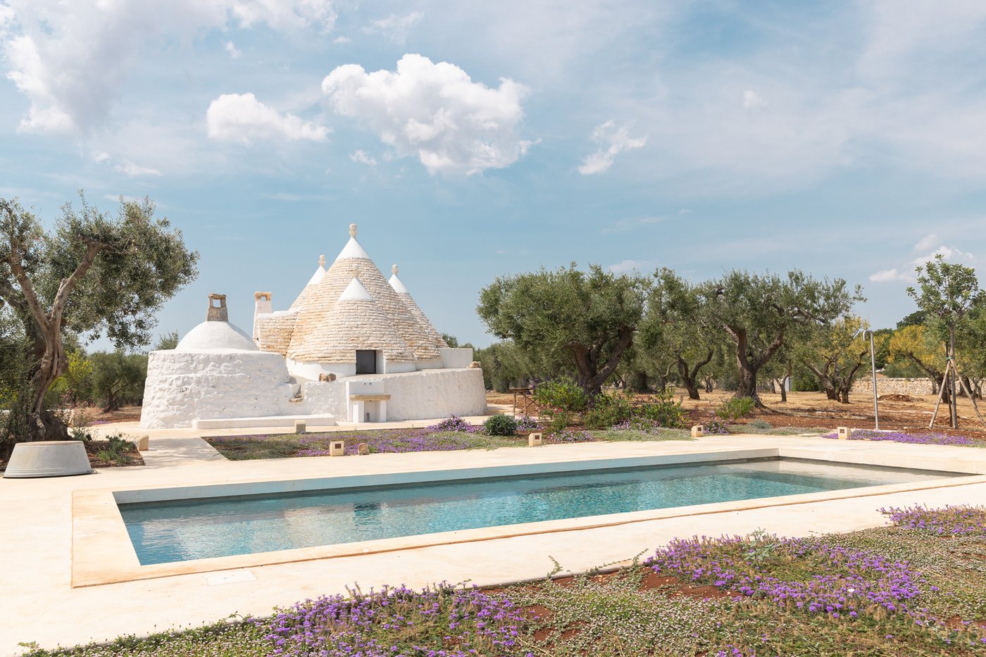 Piscina rettangolare in un uliveto accanto a un trullo in pietra